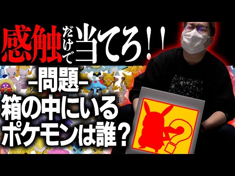 箱の中身はなんだろな 廃人なら触っただけで何のポケモンかわかります よね 今日ポケ ようつべゲーム速報