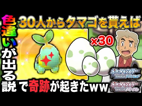 ポケモンbdsp 30人からタマゴをもらって孵化したらレアなポケモンや色違いが生まれる説を検証したら奇跡が起きたｗｗ ダイパリメイク ようつべゲーム速報