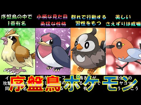 歴代ポケモン 序盤に登場する鳥タイプポケモンまとめ ゆっくり解説 ようつべゲーム速報