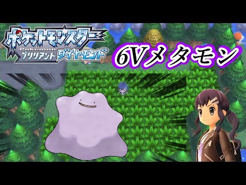 ポケモンダイパリメイク 6vメタモンを求めて ポケトレ100連鎖 メタモン厳選耐久配信 16日目 ポケットモンスター ようつべゲーム速報