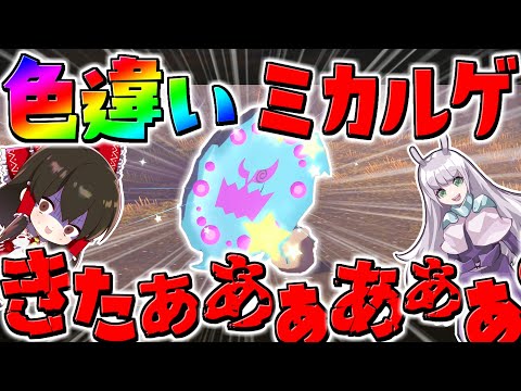 レジェンズアルセウス 数十時間の厳選で遂に色違いミカルゲゲット ゆっくり実況 Pokemon Legends アルセウス ようつべゲーム速報